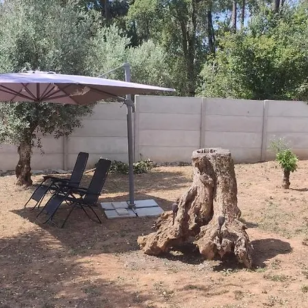 民宿 Casa Sophie - - Casa De Ferias Completa